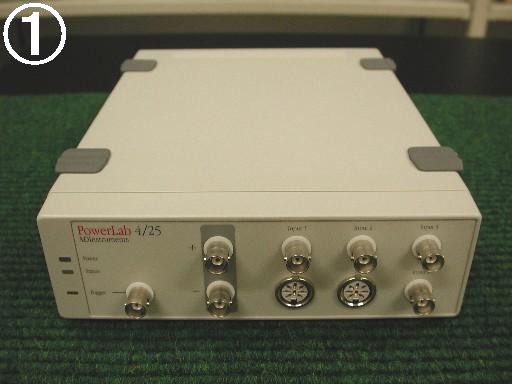 カエル骨格筋における疲労の機序について 1緒