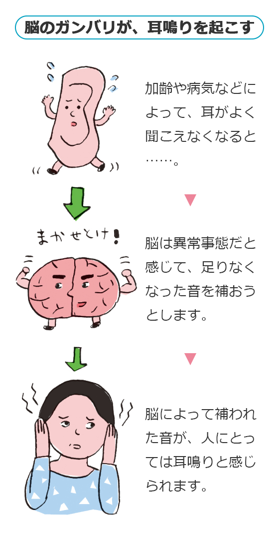 耳鳴りは軽度でも要注意毎日の予防医学教室山田養蜂場 健康科学研究所