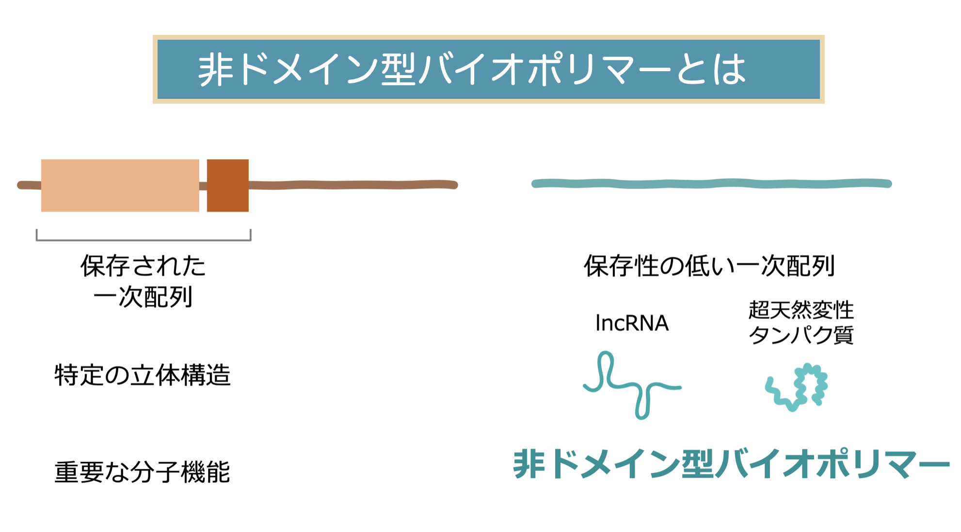 CBSドメイン - Wikipedia