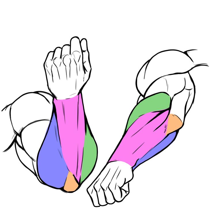 二の腕に効果的なトレーニング！オルソフィット24 茨木茨木市の24時間フィットネス・スポーツジム