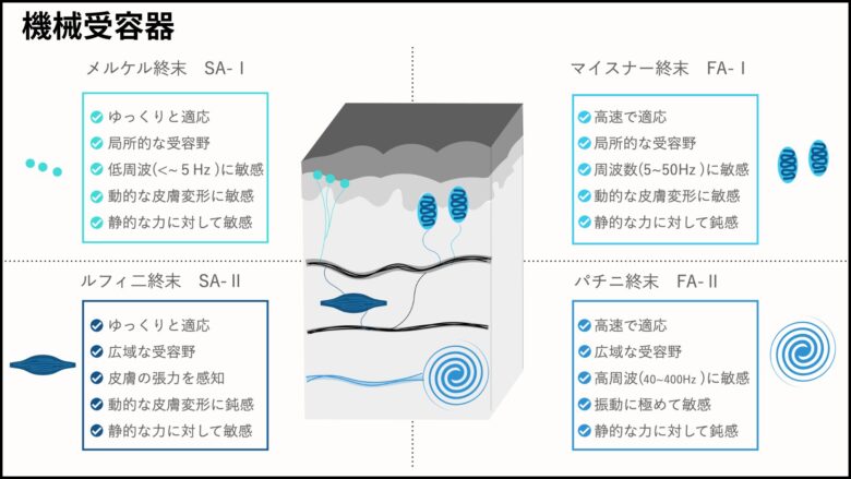 VW「タイプ2」を移動式の美容サロンカーにしたオーナー夫妻の切なる想いとは？ 「ヘアカットで笑顔にしたい」～カスタム・アウトドア・福祉車両・モータースポーツなどのカーライフ情報が満載～AUTO MESSE WEB オートメッセウェブ