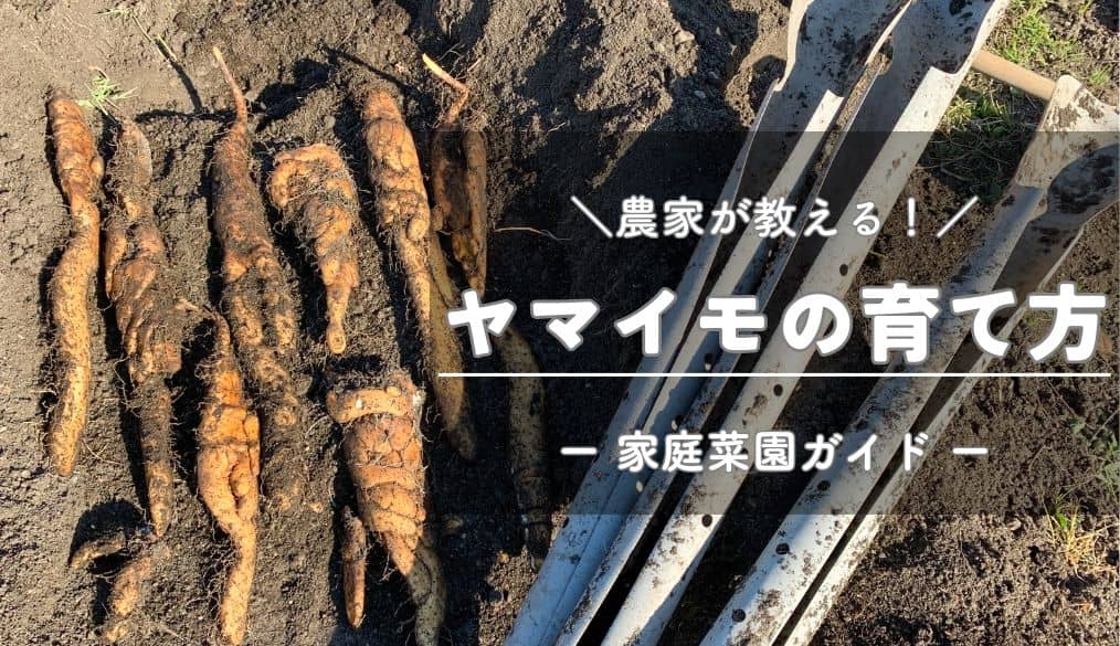 ながいもに使う製品 野菜づくり機械化便利帳 農業ソリューション製品サイト