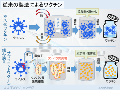 第36回 ワクチンはどれぐらい効くのか？Humony International