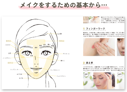 Visual Anatomy 視覚解剖学