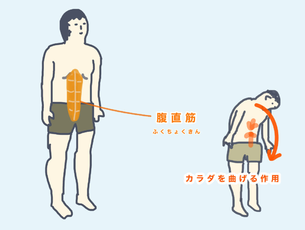 筋肉博士に訊いた、腹筋を割るために知っておきたい10のQ＆A