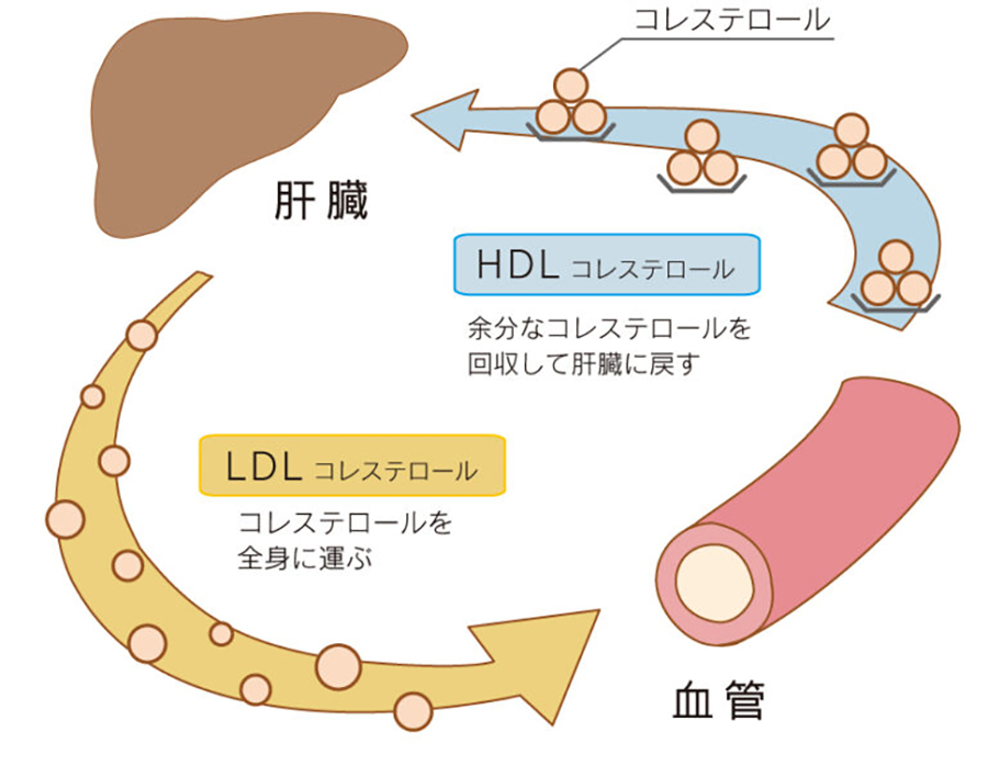黄色腫粉瘤・ほくろ除去で皮膚科をお探しなら はなふさ皮膚科へ