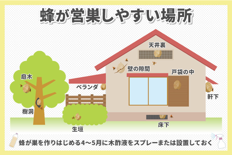 木酢液のハチよけを作ってみた – せき不動産