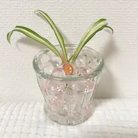 オリヅルランの育て方と風水情報観葉植物と風水のグリーンスマイル