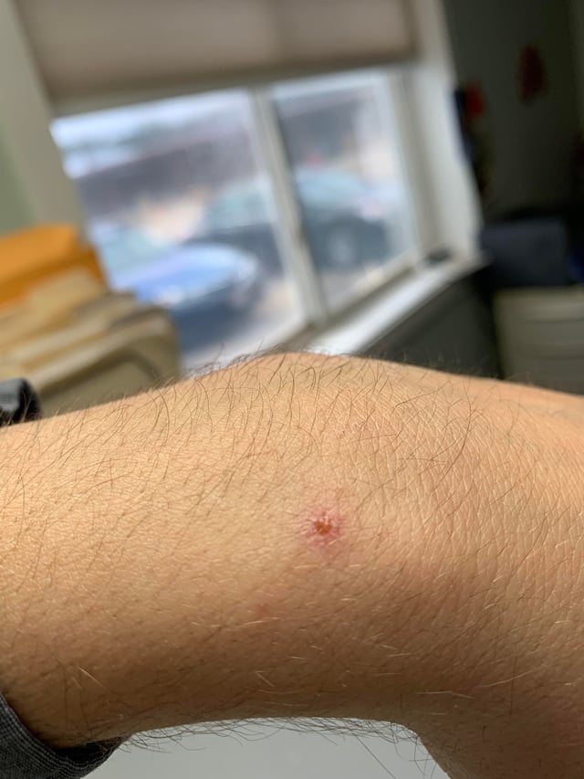 ノミ・ダニ感染症横浜市西区とも動物病院往診・土日曜診療