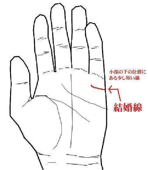 手相で人差し指の下 木星丘 の膨らみ方や基本的な意味って？ - クラスール 占い