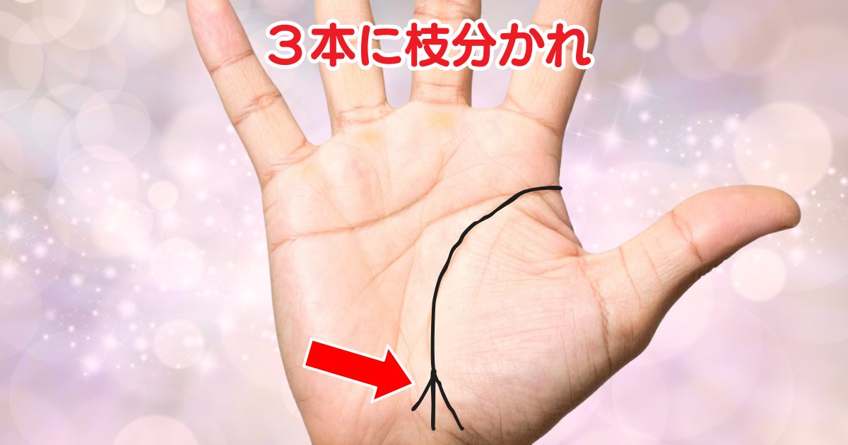 加藤ってどんな人 手相ってどんな感じ？ 二重生命線・頭脳線 枝分かれ店舗経営コンサルティングの専門家フランチャイズ展開サポート＆売上改善・人材育成のことなら「キズカスカンパニー」東京横浜
