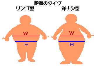 リンゴ・洋梨・バナナ、あなたはどのタイプ？ 体型別！身体の特徴と効果的なダイエット法ヨガジャーナルオンライン