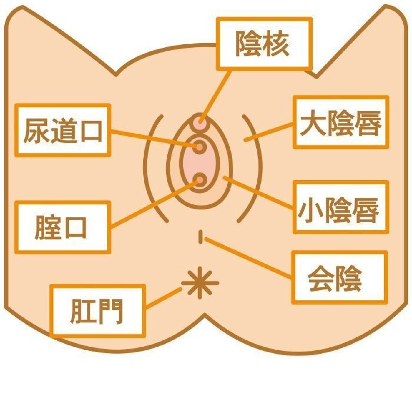 萎縮性膣炎いしゅくせいちつえん とは済生会