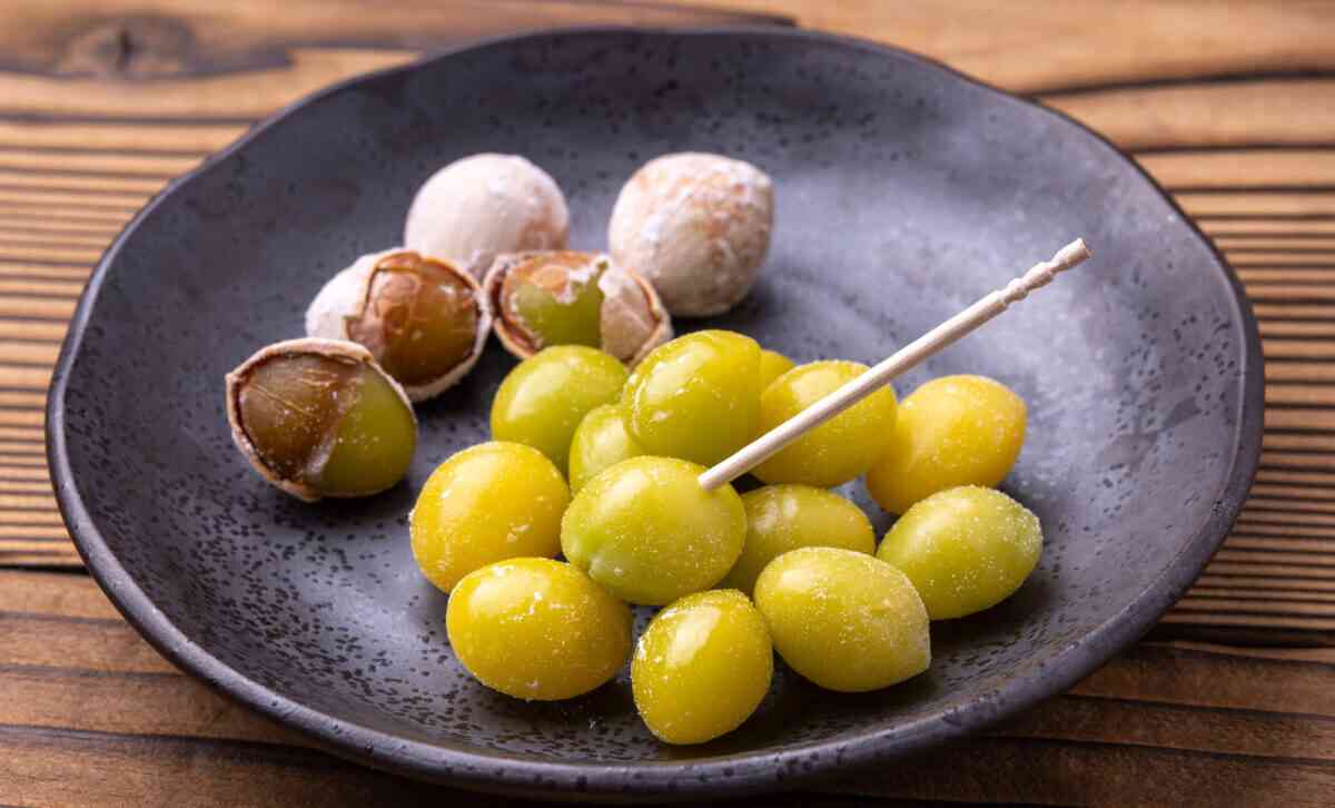 銀杏の匂い」に学ぶ生物多様性の大切さとNIRVANAの名曲に関するウンチクTABI LABO