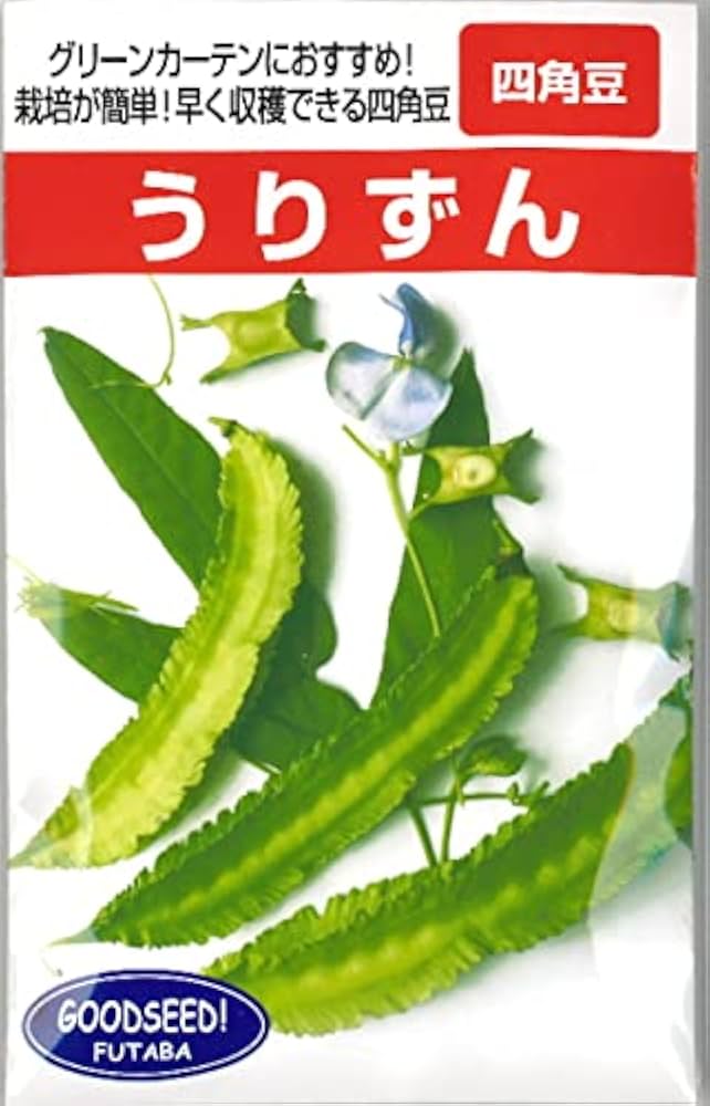 四角豆のネット張りです。のうえん