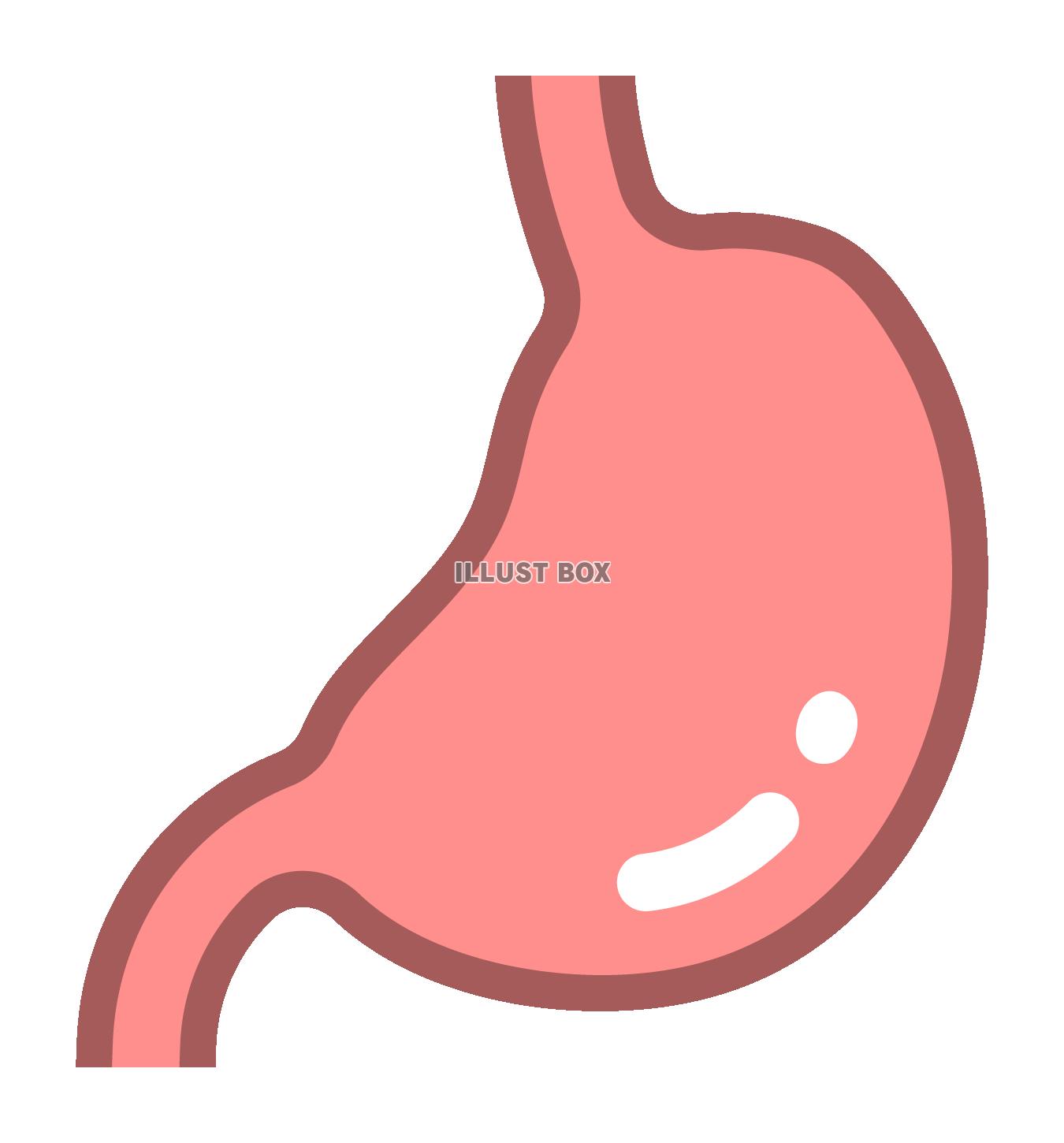 食道のイラスト🎨 フリー素材 看護roo! カンゴルー