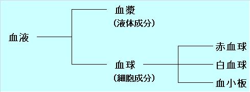 生理学・生化学につながる ていねいな生物学 - 羊土社