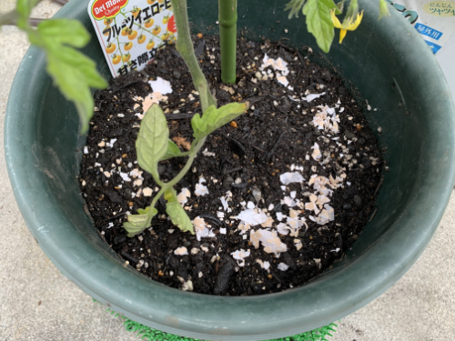 業界初！ “廃棄される卵の殻をガラス原料に再利用し、廃棄物とCO2の削減に貢献”石塚硝子株式会社のプレスリリース