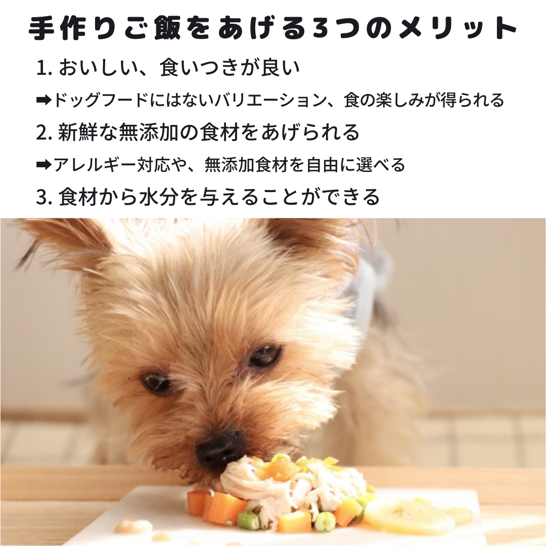 ホワイトフォックス BASE DELI ベースデリ うまみダシ 500g ドッグフード 手作りごはん正規品楽天市場 ホワイトフォックスベースデリ うまみだし 500g犬用 トッピング 手づくりごはん 和風 ドッグフード whitefox BASEDELI うまみDASHI :ドッググリッター DOGGLITTER