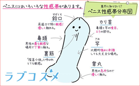 絶倫ペニスを作る睾丸オ○ニー方法【３STEP】