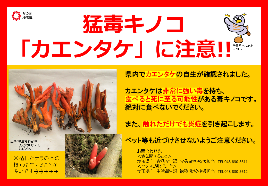 アカハツタケ 赤初茸Lactarius deliciosus- PictureThis