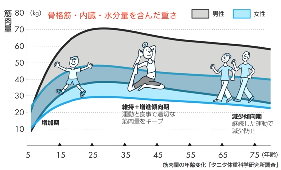 脂肪量・筋肉量・基礎代謝量田園都市高血圧クリニック かなえ内科・循環器内科