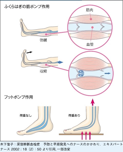 ヒップアブダクション」のやり方や効果は？適切な重量・回数の設定、マシンの使い方も紹介 - Wellulu
