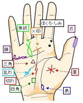 感情線意味や特徴を種類別に解説！大串のノリコの当たる手相占い - 大串ノリコの紫微斗数と姓名判断
