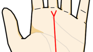 縦線がある手相の意味！どこに縦の線がある？完全ガイド - zired
