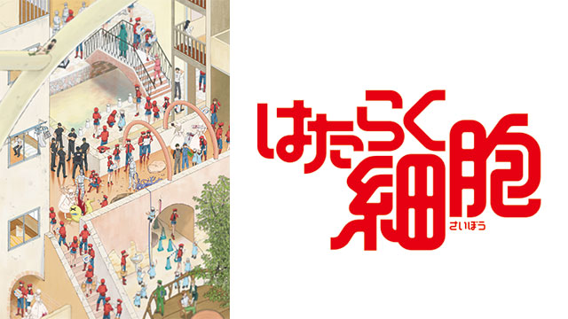 身体について親子で楽しく学べる！マンガ＆アニメ『はたらく細胞』眼科医 福岡詩麻