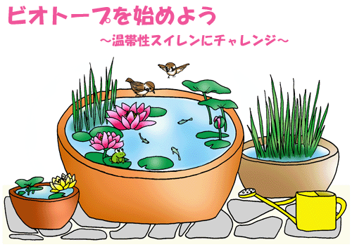 熱帯スイレンを楽しむ 裏ワザのいろいろWEB BOSCO