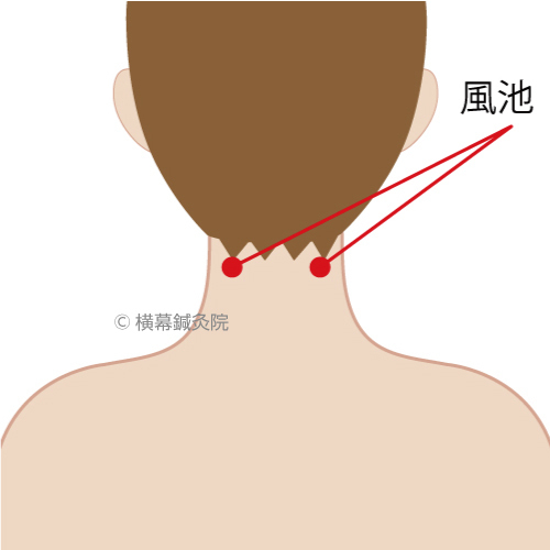 辛い 首こりに効果のあるツボはどこ？肩コリや目の疲れにも効くツボを紹介 - 株式会社リハサク