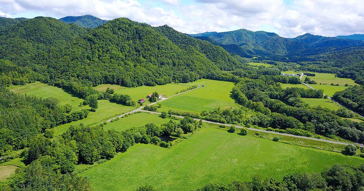 草刈りなどでマダニにかまれたか 日本紅斑熱患者2024年14人で過去最多 SFTS患者も4人目 県が一層のマダニ対策呼びかけ＝静岡静岡のニュースSBSNEWS静岡放送1ページ