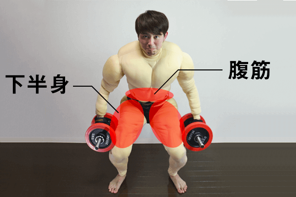 小型ダンベルダンベルベンチ、腹筋ベンチ腹筋ボード小型バードスツールフィットネス機器フィットネスダンベル 筋トレ 腹筋マシーン 腹筋マシン バーベル背筋 トレーニングベンチ 7段階調整 ダイエット フィットネス トレーニング 腹筋台 ダンベル ベンチプレス ジム 自宅