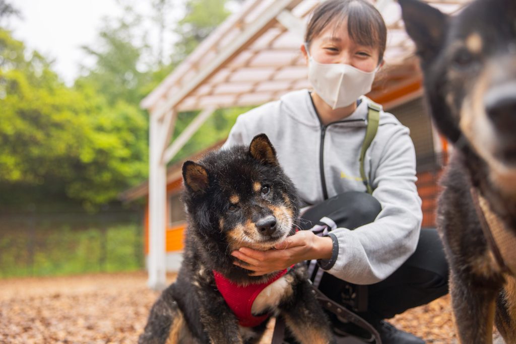 歩き方がおかしい？犬の椎間板ヘルニアの症状や治療法を解説 獣医師監修