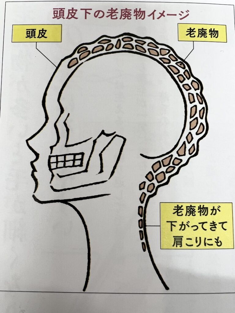 老廃物がたまりやすい秋は「ツボ押し」で解毒！アラフォーの身・心・肌を”整える” 40代 ヘルスケアMarisol マリソル40代をもっとキレイに。女っぷり上々