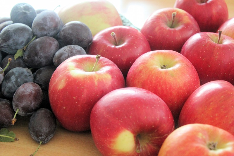 ブルーベリーのカロリーと糖質。太らない食べ方、ダイエットや糖質制限中は何個まで？産直プライムブログJA連携！産地直送通販なら産直プライム