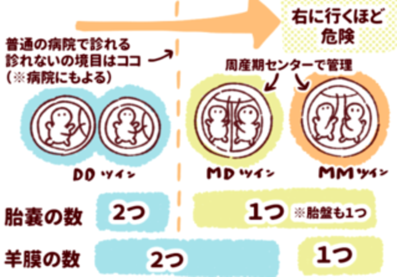 双子が生まれる確率は？一卵性双生児と二卵性双生児の違い - 新型出生前診断 NIPT − DNAサイエンス