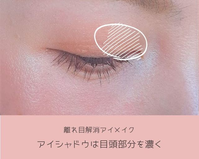 目が離れているのは子供！。目がちゃんと開いているのは大人。縦横のバランスも大事。 - ドクター森川ブログ