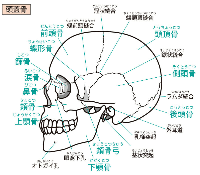低気圧頭痛に悩む3名の対処法。鍼・耳ツボジュエリー・整体は効果的なのか？ 体験レポートも 低気圧頭痛②- ビューティSPUR