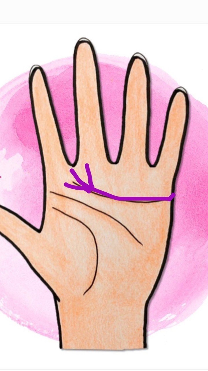 感情線と知能線の深い関係