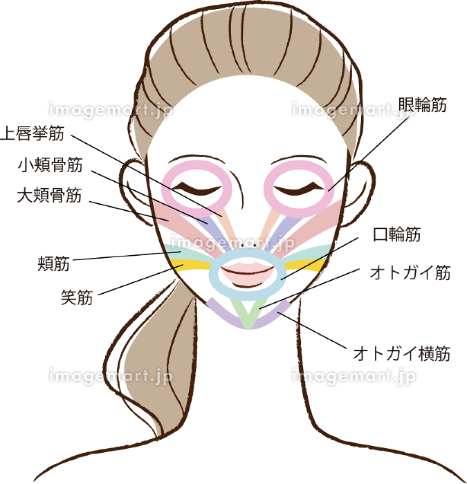 似顔絵に表情筋を書き込んだイラストを作ってもらいました顔ダンスと60代のワクワクなつぶやき