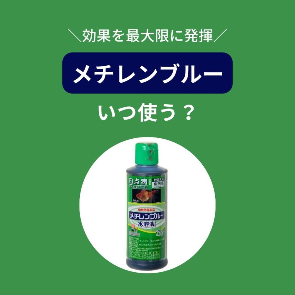 薬浴 - Ｋame_Ｃlub