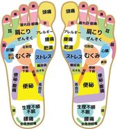 足ツボ 図解 表