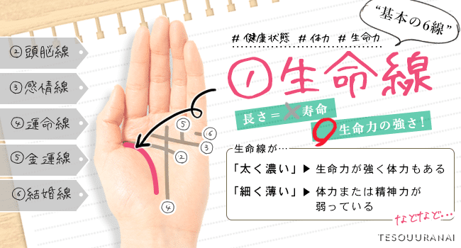 星ひとみの恋する手相占い・ ~ 基本線と補助線 ~星ひとみ - チーズ！ネット