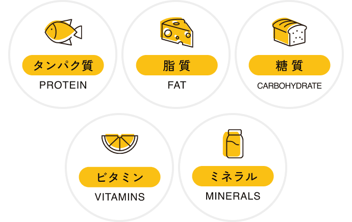 五大栄養素とは？健康寿命の延伸に役立つ栄養素を解説健康と栄養味の素グループ