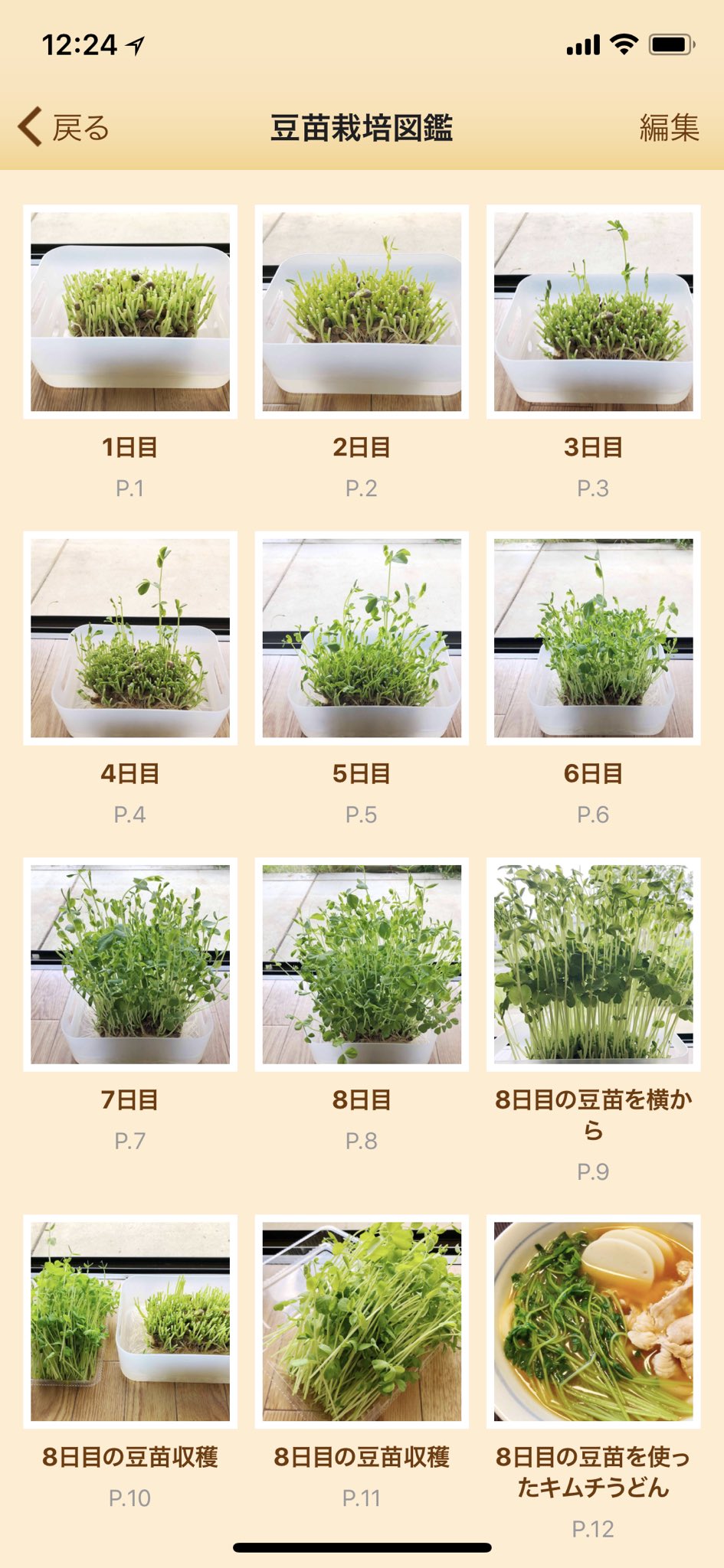 知ってた？1つで3役！豆苗・グリーンピース・サヤエンドウが一気に楽しめる”エンドウ”をおうちで育ててみよう！ - みんなのブログ体験農園なら貸し農園 市民農園 のシェア畑