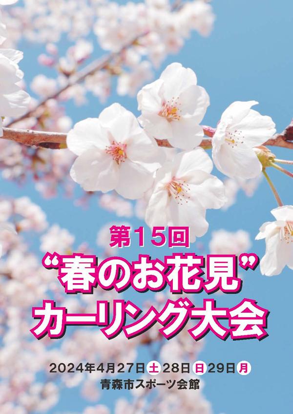 青森・弘前のエステ・回春 ブログアクセス数ランキング | ビッグデザイア東北