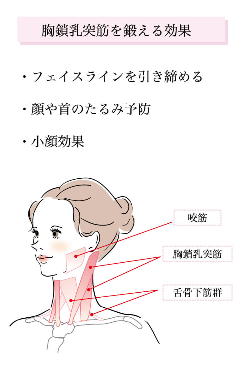 首は筋トレで太くなる！おすすめのトレーニング5選と注意点を解説