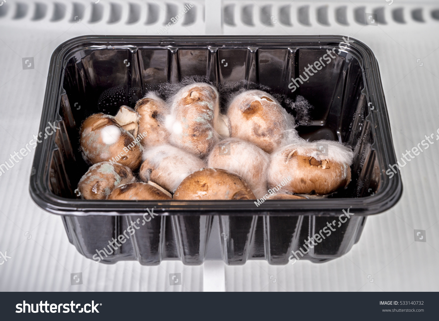 世界でよく食べられているきのこの種類12ELLE gourmetエル・グルメ